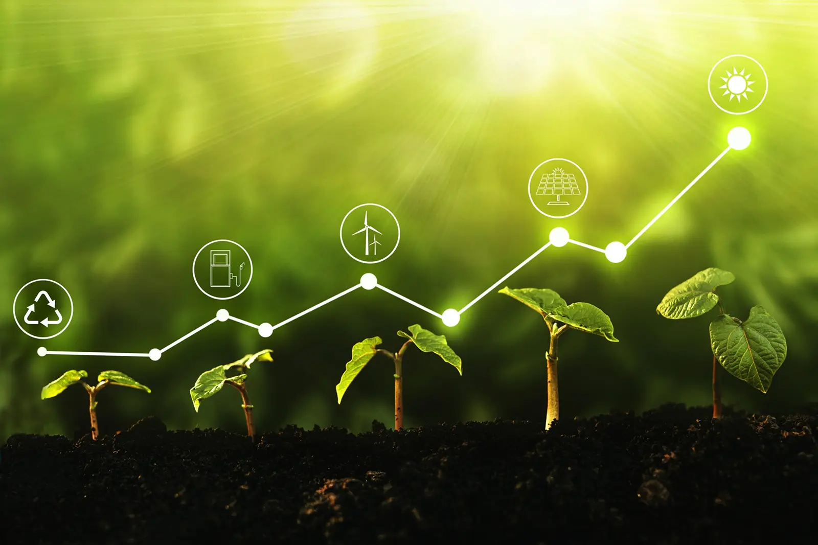 Towards zero-carbon farms