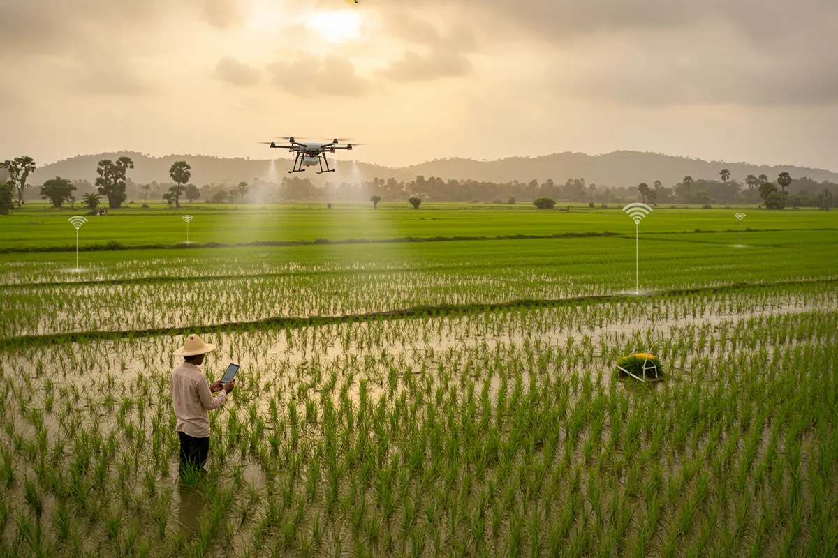 Smart farming approach for the right use of pesticides in Kharif season