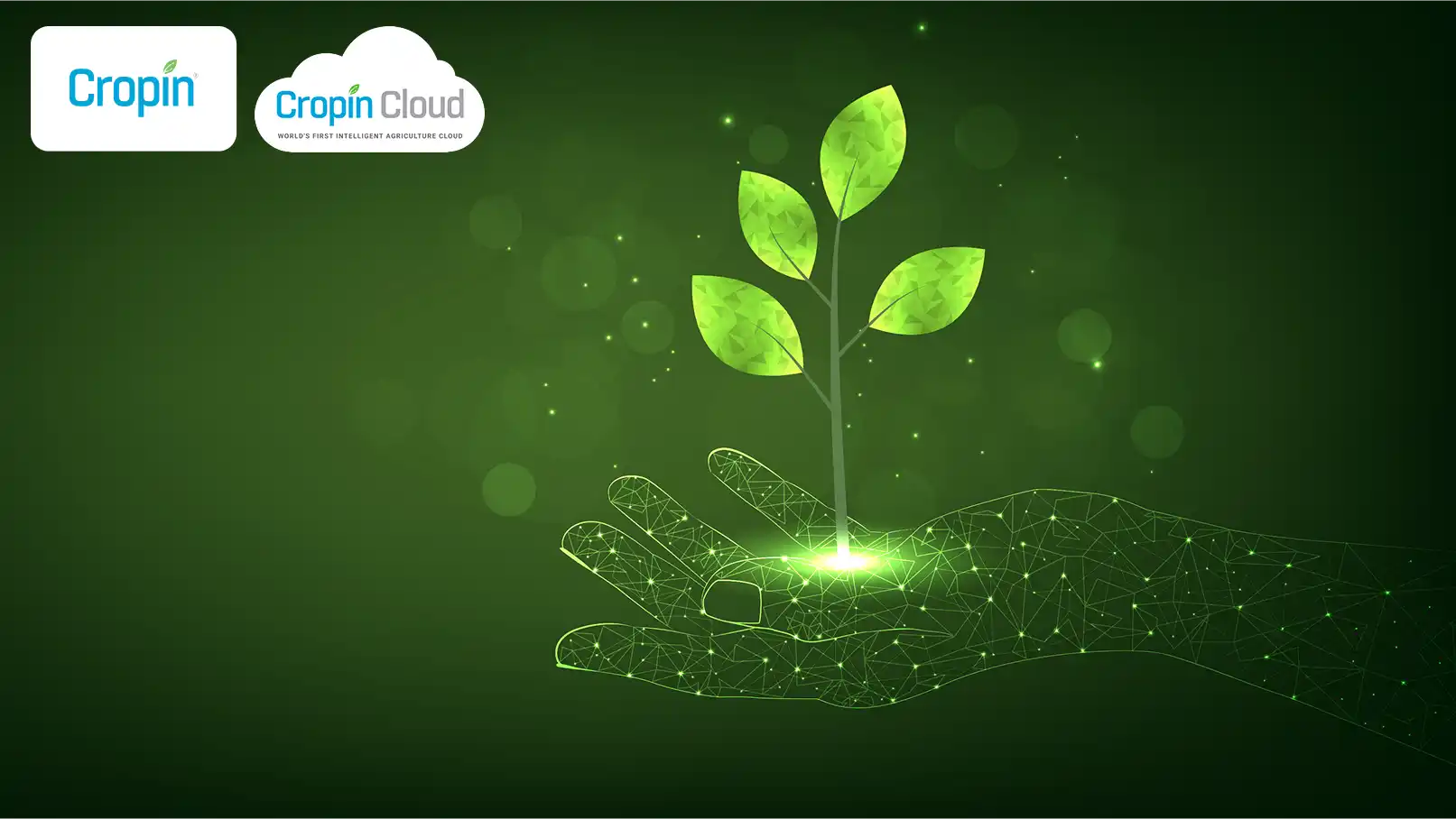 cropin-raises-₹-113-crores-funding-from-abc-impact-chiratae-ventures-google-and-jsr-corporation