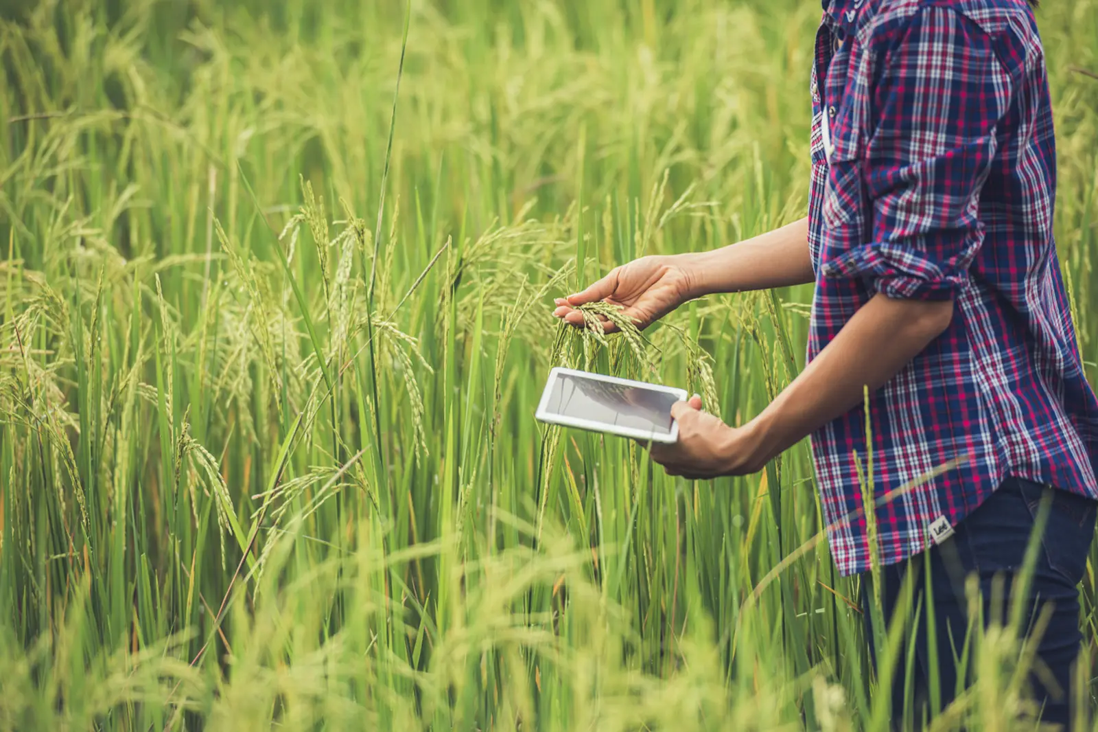 Digitization can transform the crop protection industry