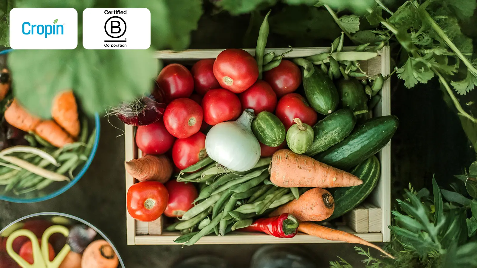 cropin-secures-b-corp-certification-strengthening-its-commitment-to-sustainable-food-systems