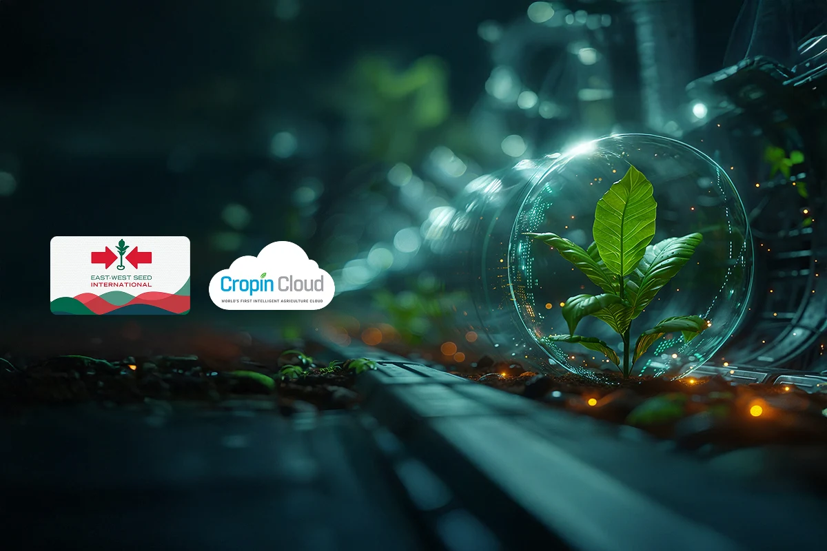 East-West Seed’s Award-Winning Transformation