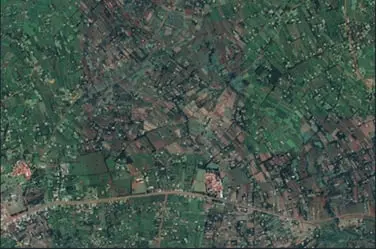 kenya