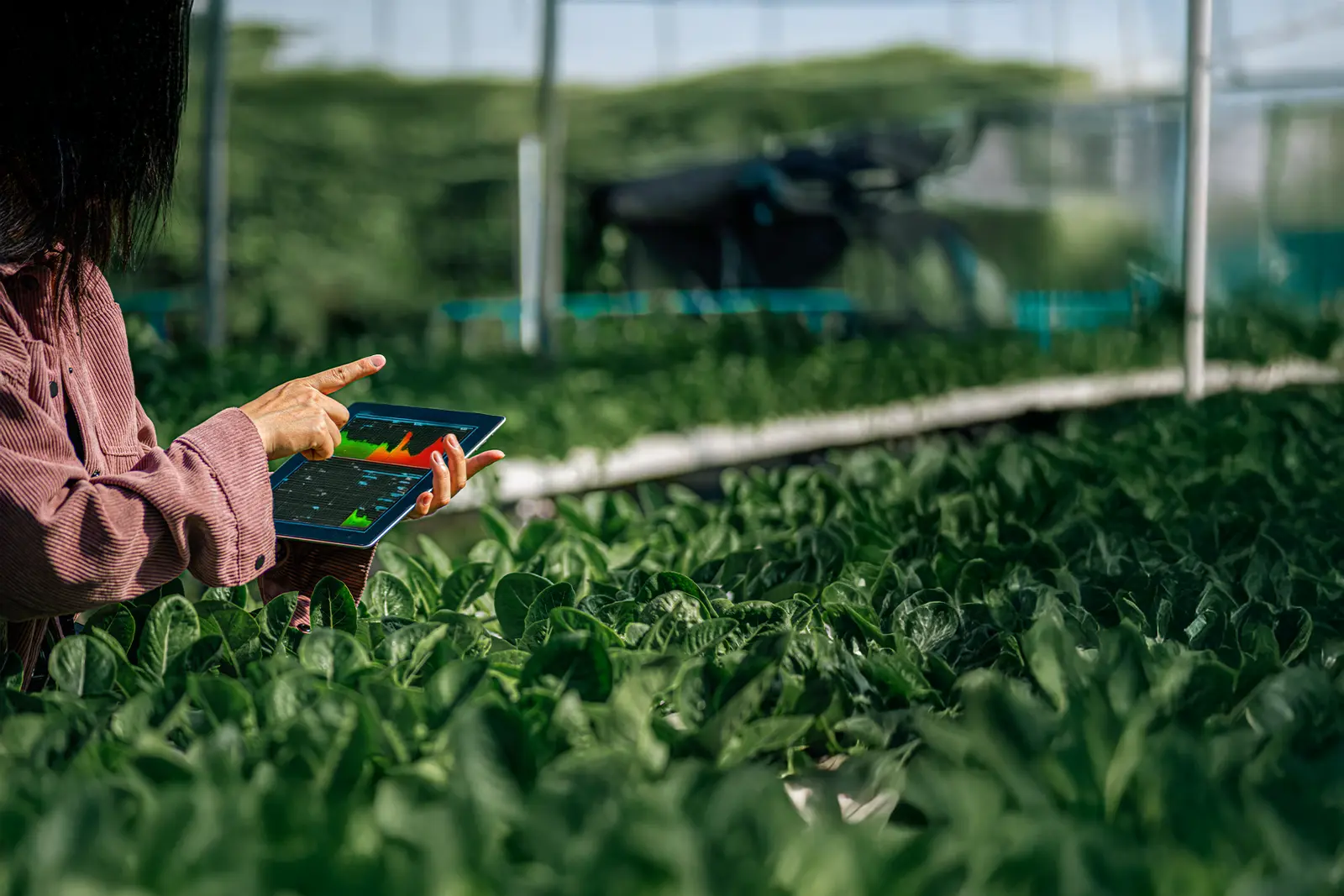 Agri-sourcing and procurement decisions made intelligent_ How AI is powering productivity and profitability