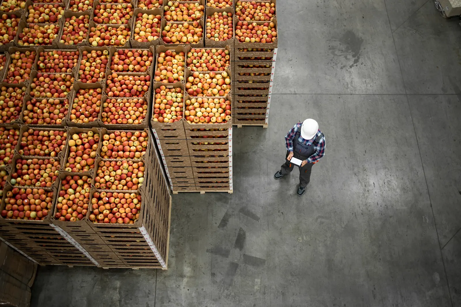 Early visibility for resilient CPG procurement
