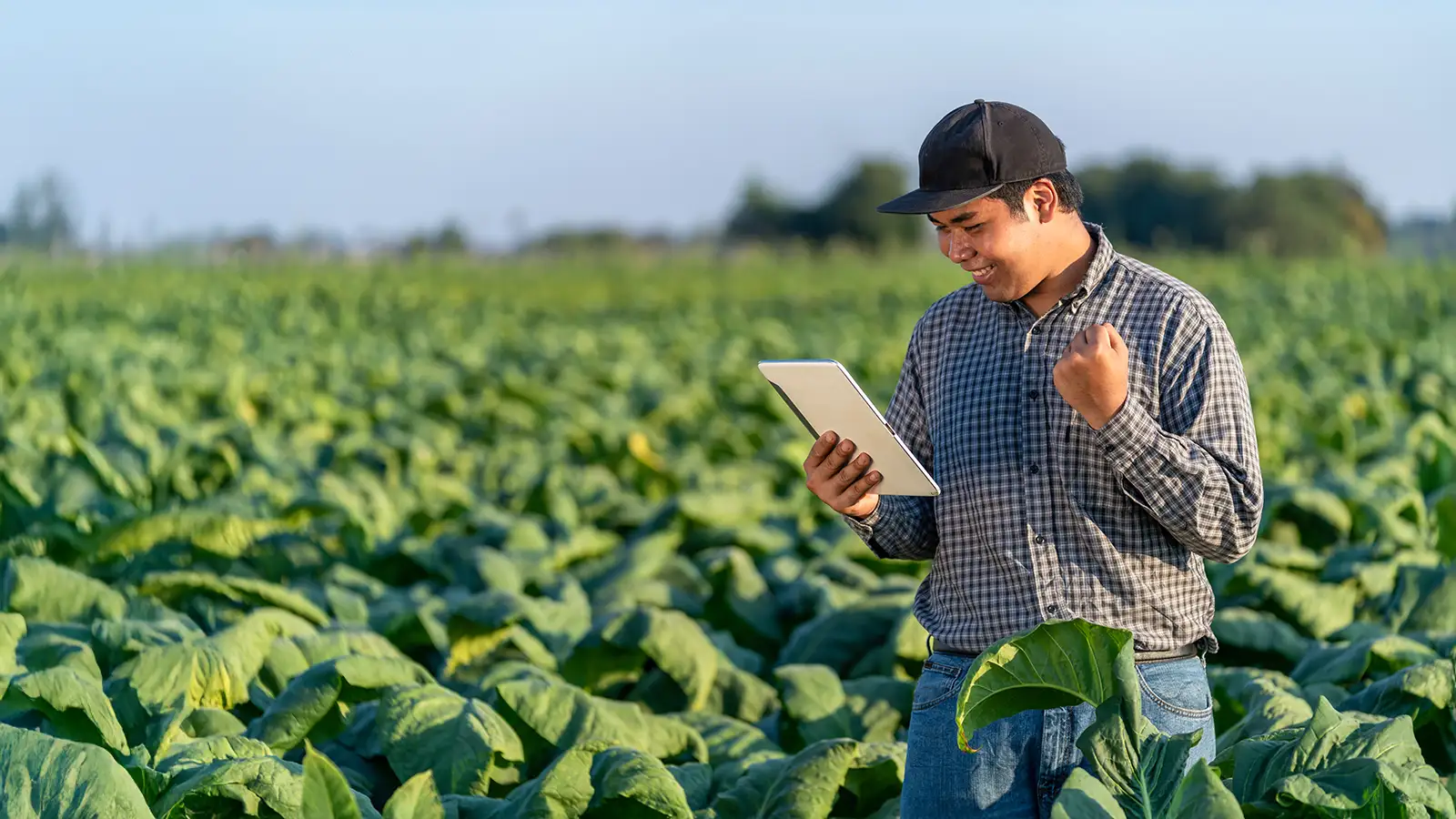 Unveiling the digital future of agri-business