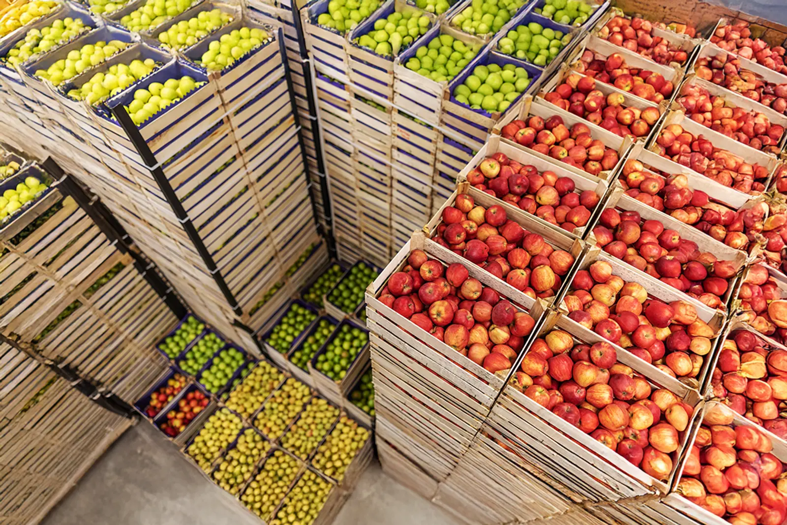 sustainable-sourcing-with-cropin