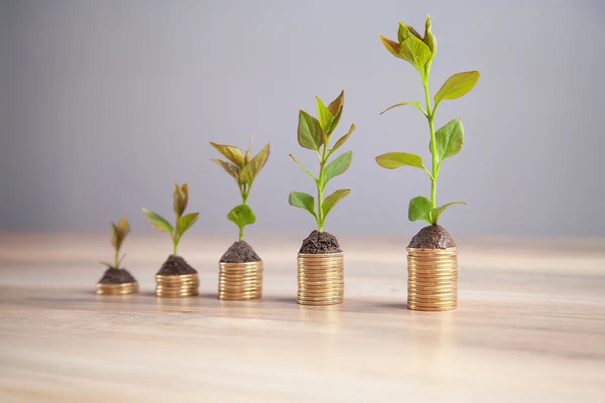 Agriculture Budget 2024 – 2025