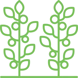 Crop Detection Models