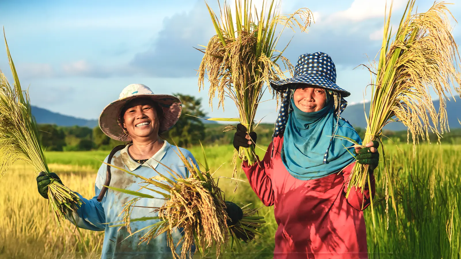 Digitization for empowering rural farming communities in Myanmar