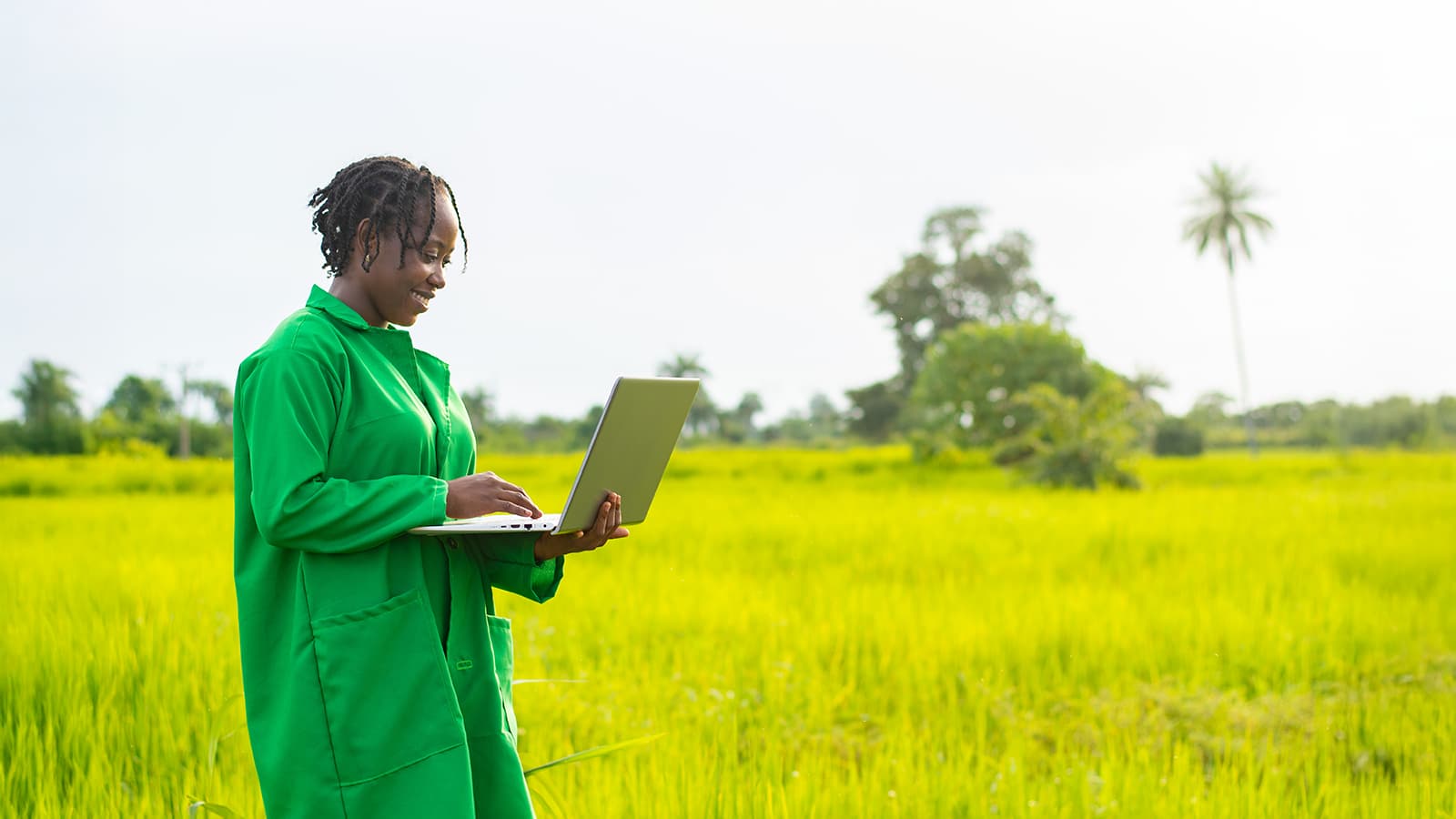 Digitizing farm data to develop ‘Smart Rice’