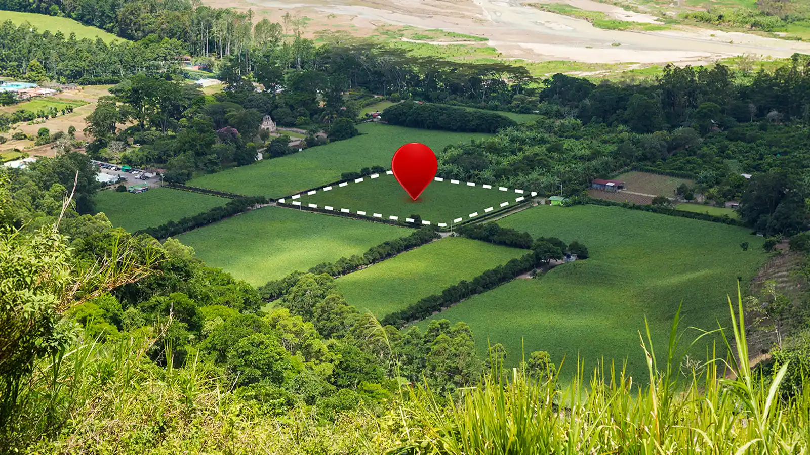 EUDR Compliance for Agri-businesses