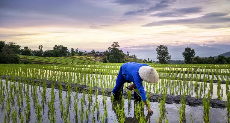 Enhancing-Climate-Adaptation-and-Resilience-in-South-Asia