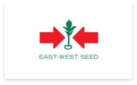 FMS-east-west-seed
