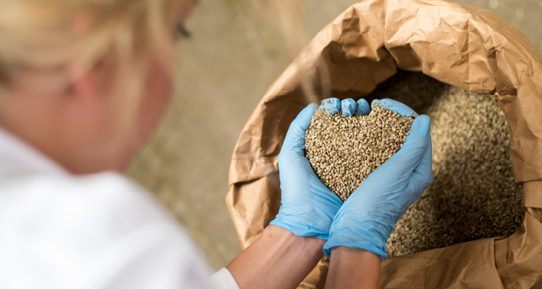 Faster Seed Certification - Role of Technology - Cropin