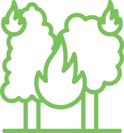 Forest Fire Models