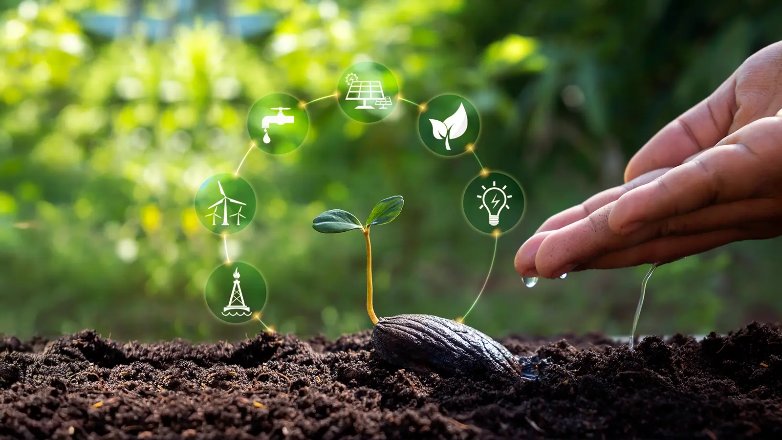 Government of Maharashtra _ Sustainable agriculture development