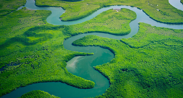 How Can Satellite Imagery Help Us Save the Planet - Cropin