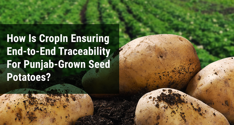 How is Cropin Ensuring End-to-End Traceability for Punjab-Grown Seed Potatoes - CropIn
