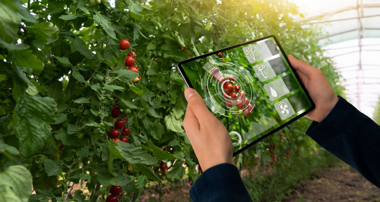 How-seed-companies-harvest-more-with-tech-Cropin