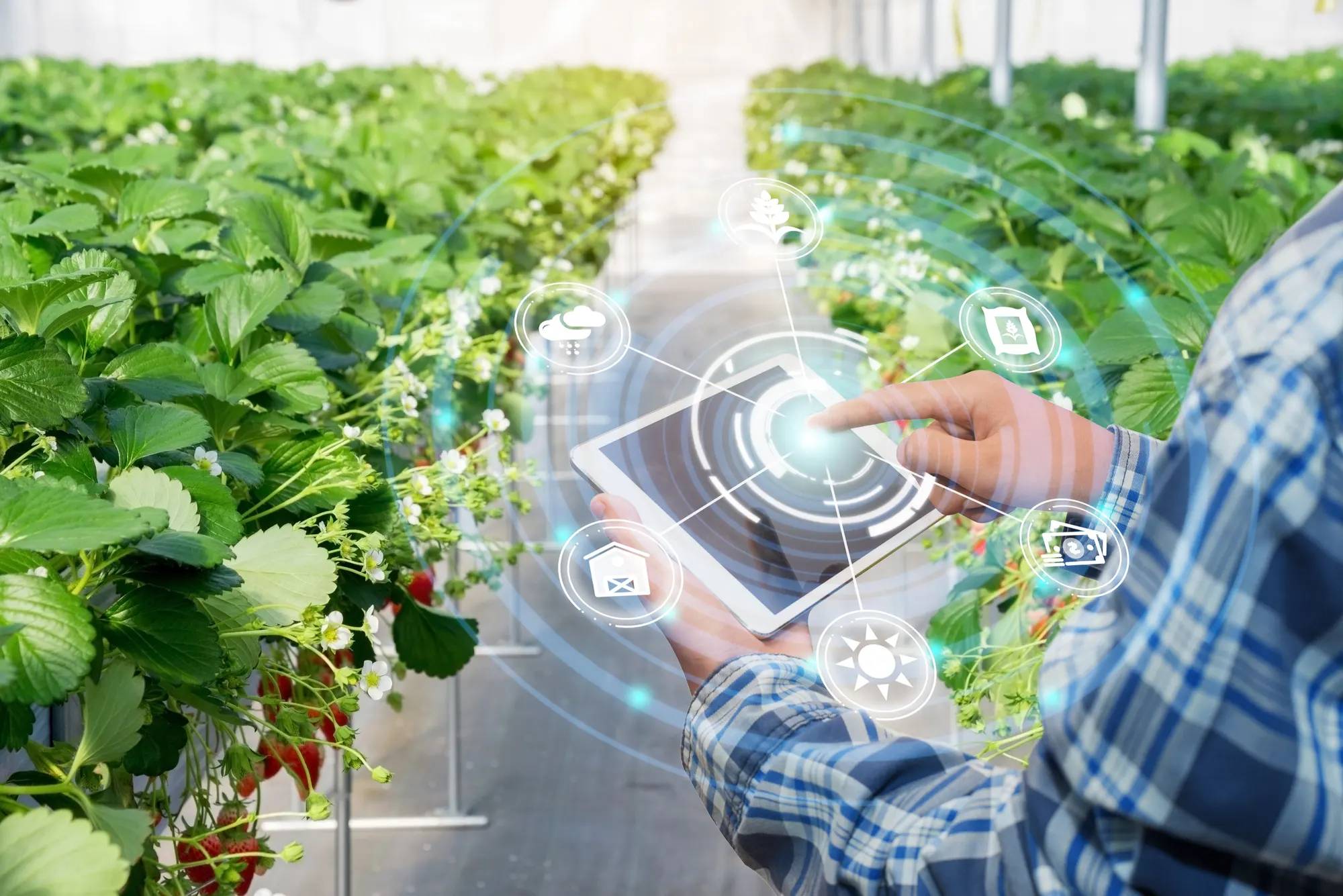 IoT-Applications