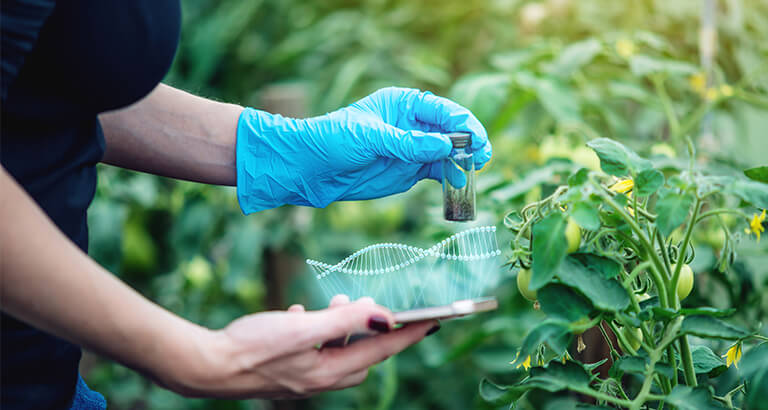 Phenotyping-The-Next-Big-What-in-Agriculture-Cropin