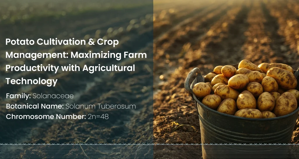 Potato Cultivation & Crop Management - Cropin