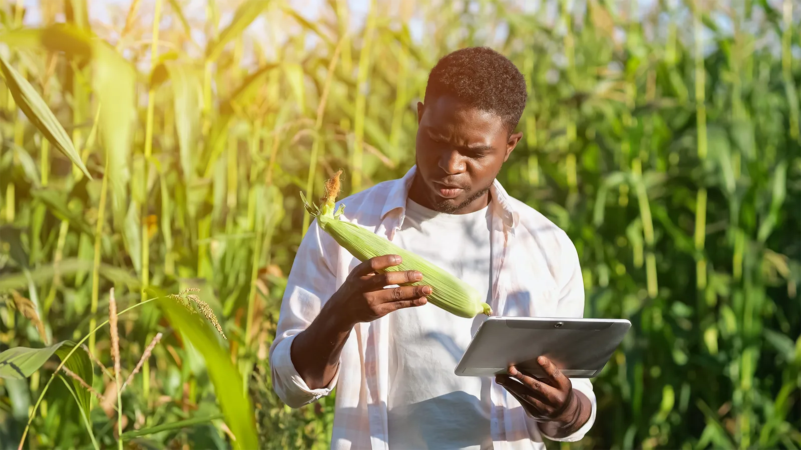 Reimagining Farmer Enablement with Digital