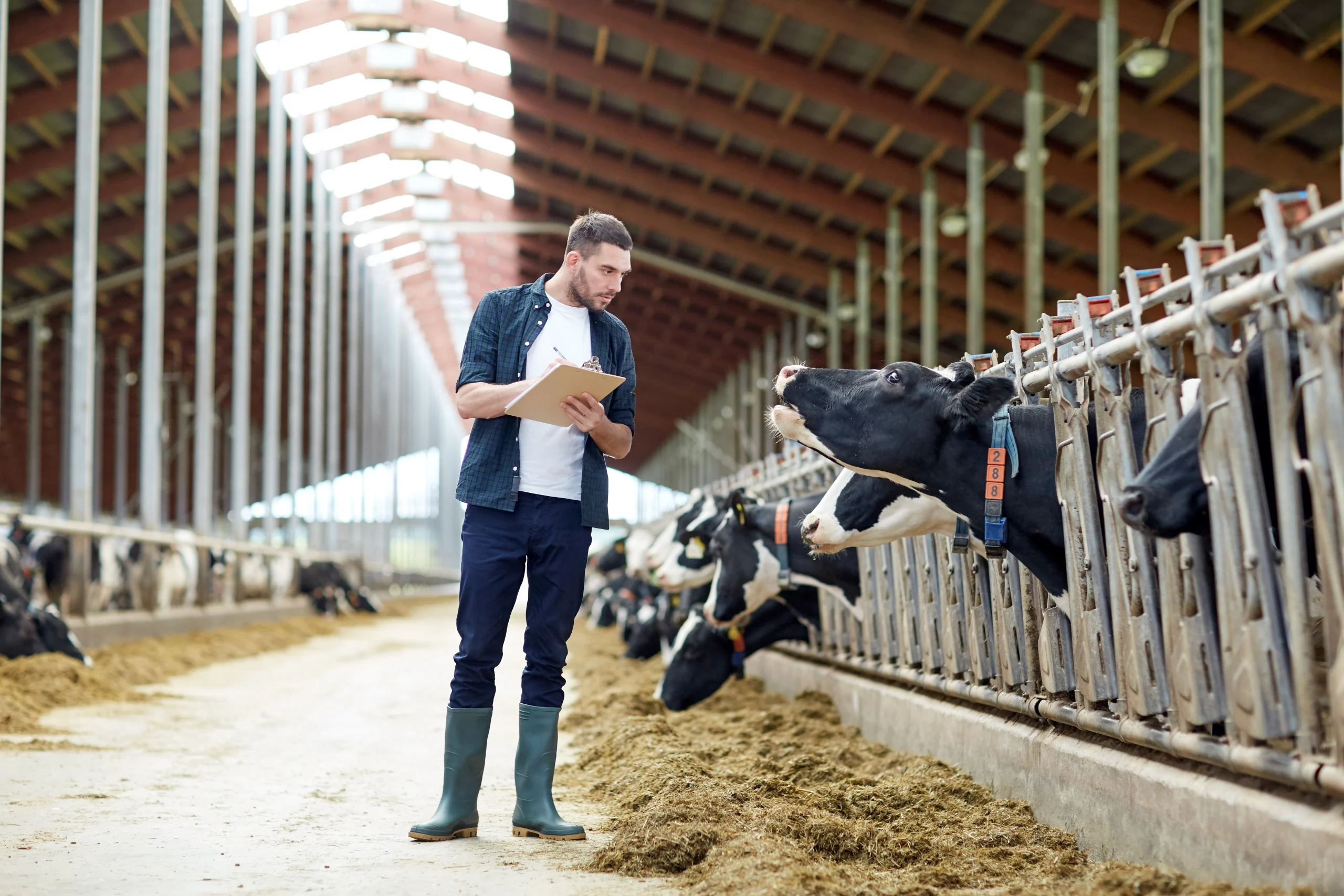 Revolutionising-Livestock-Management-Cropin