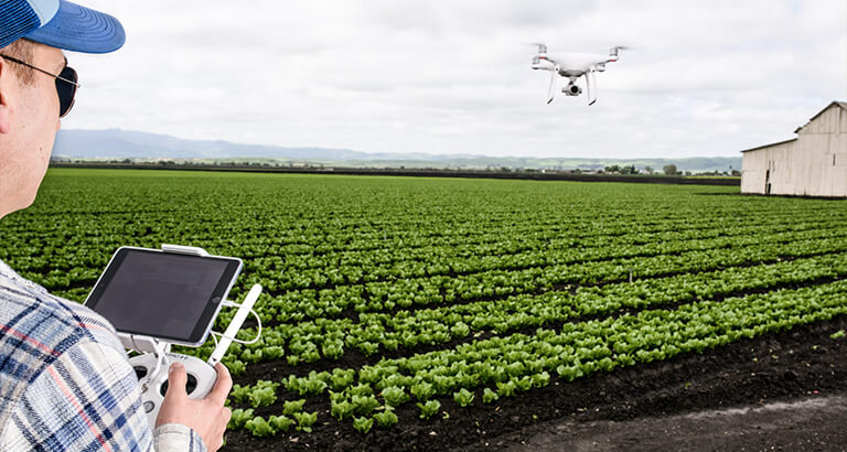 The-Proximity-vs-Scale-Debate-What-Is-the-Best-Fit-for-Smart-Farming-Cropin