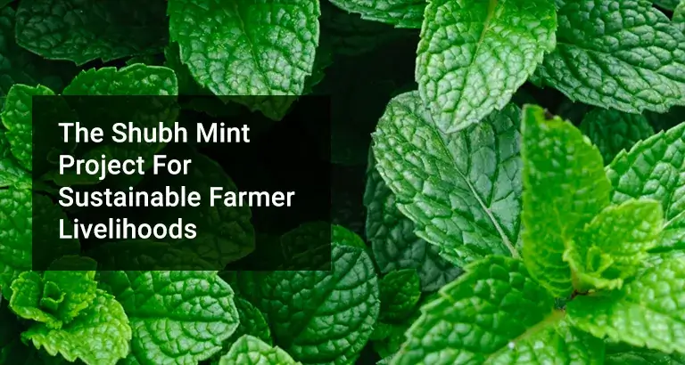 The-Shubh-Mint-Project-For-Sustainable-Farmer-Livelihoods-Cropin