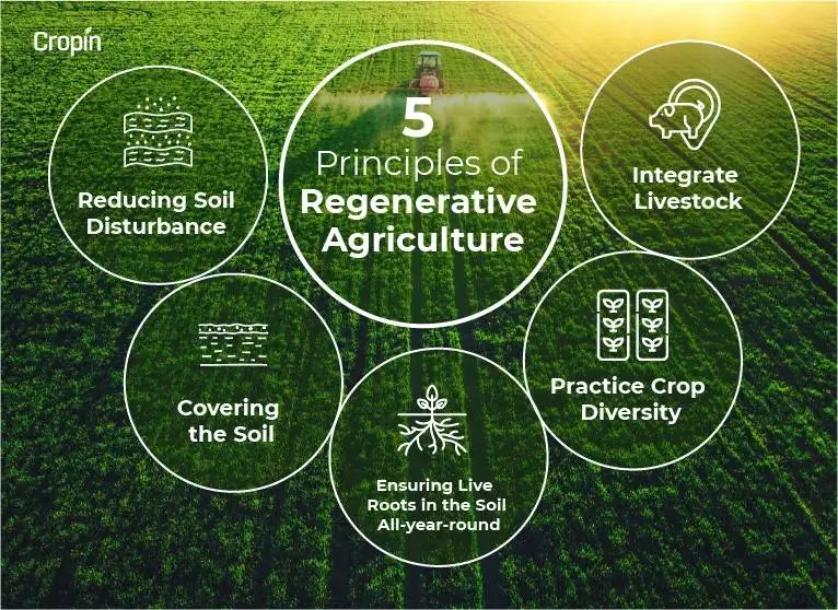 five-primary-principles-of-regenerative-agriculture-infographic