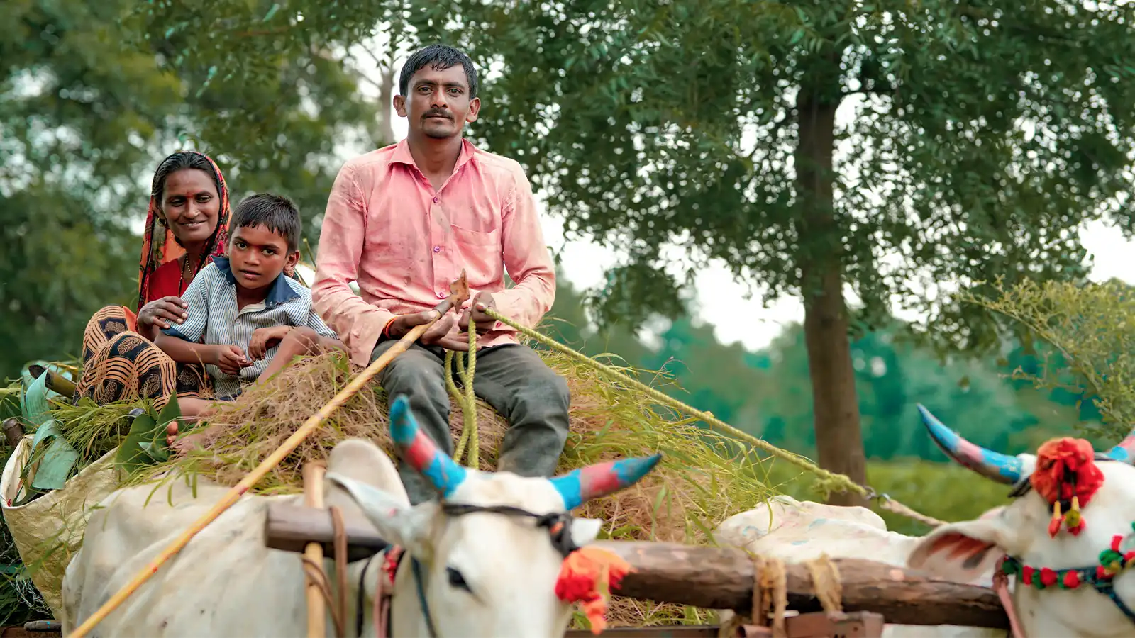 sustainable-livelihoods-and-adaptation-to-climate-change-bihar