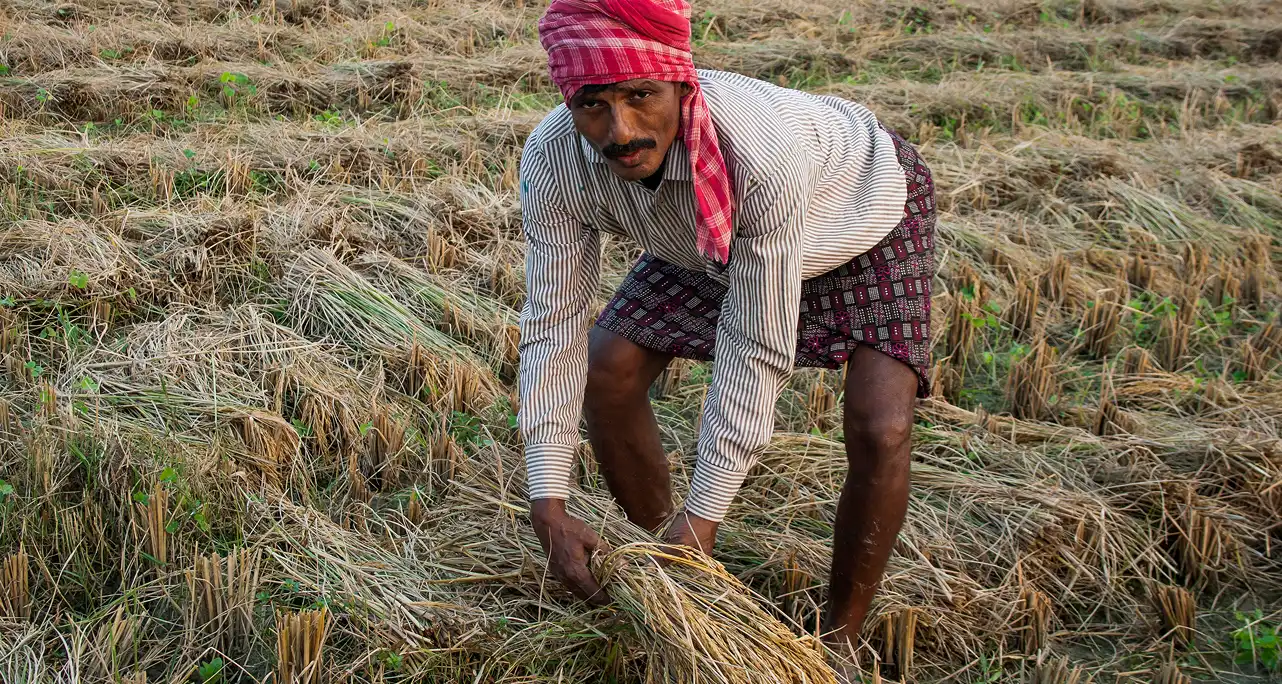 Government of India with its Agtech stack