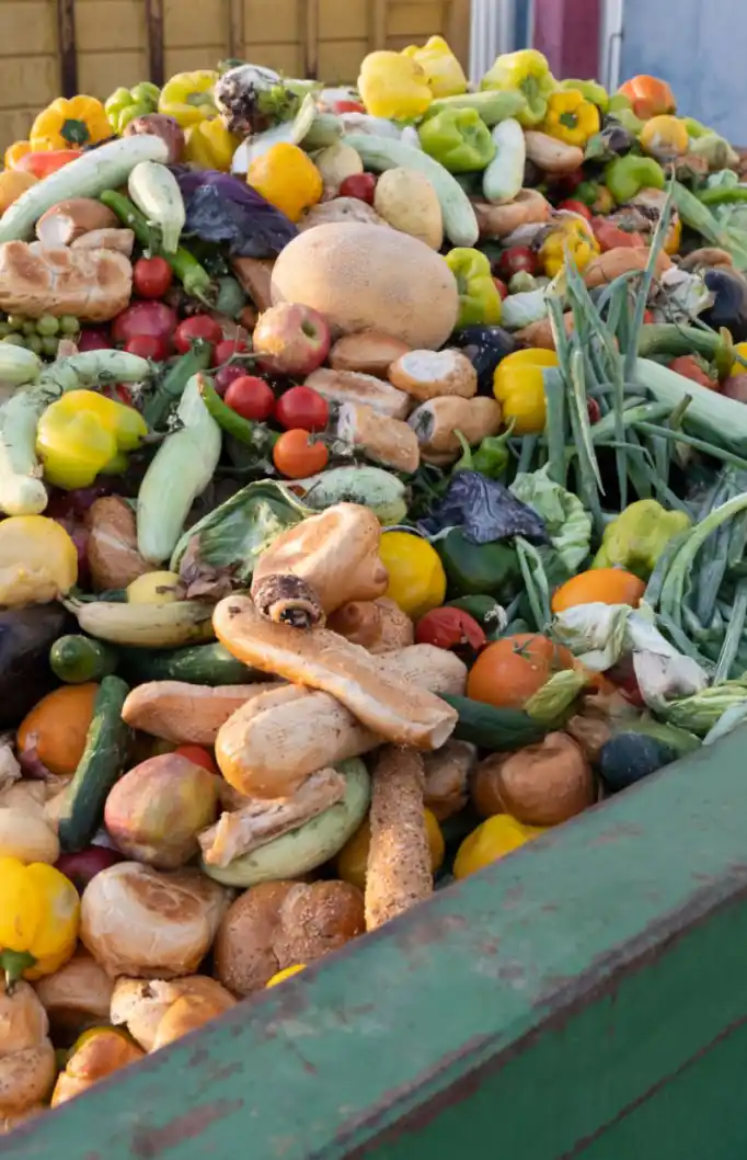 Food waste reduction