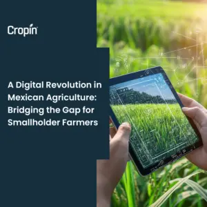 Mexican-Agriculture-Case-Study-Cropin
