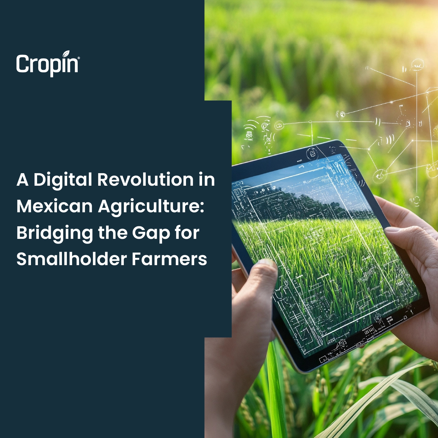 Mexican-Agriculture-Case-Study-Cropin
