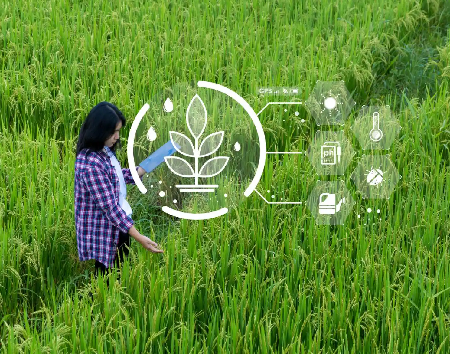 Why Agri Input needs a digital transformation