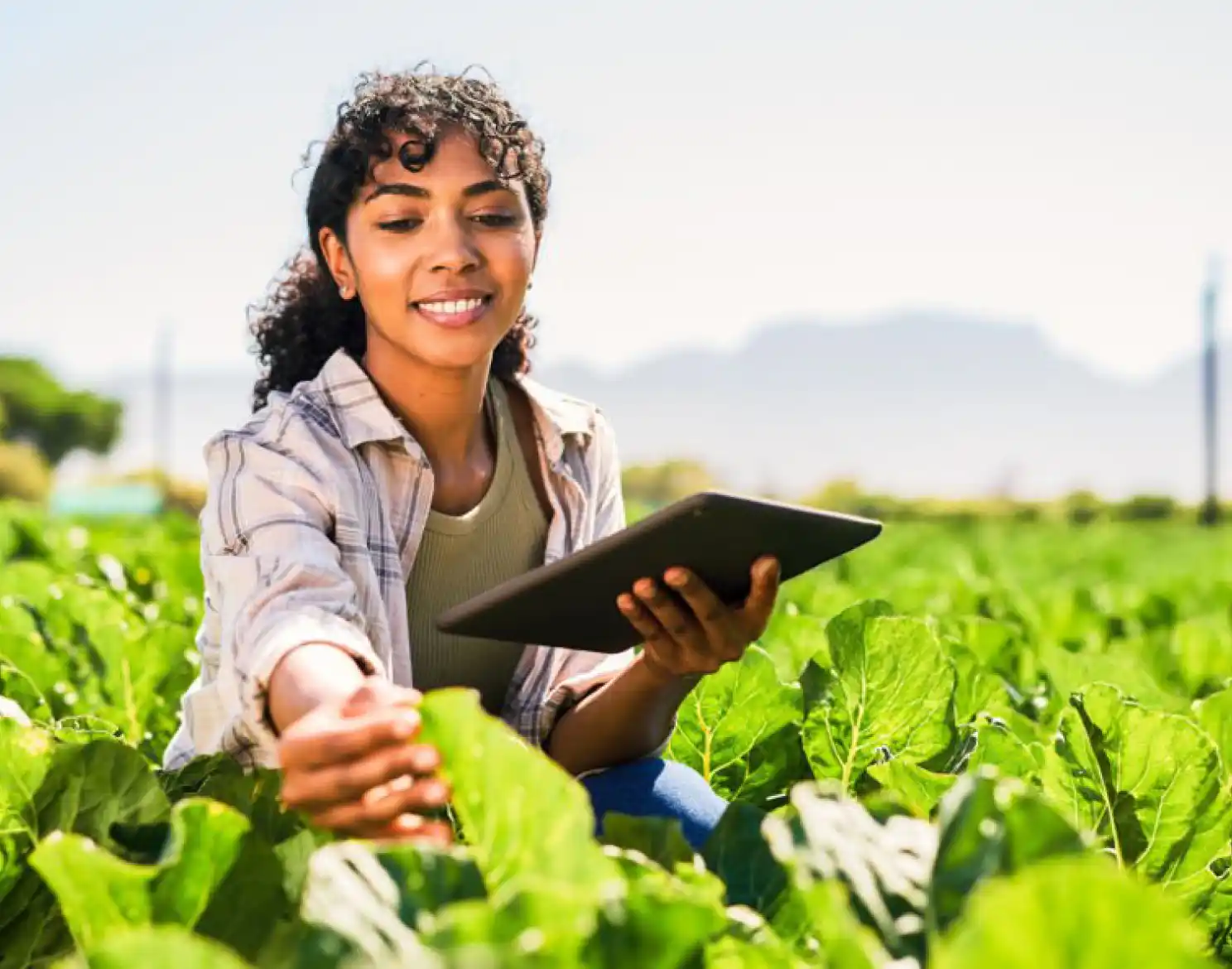 digital transformation