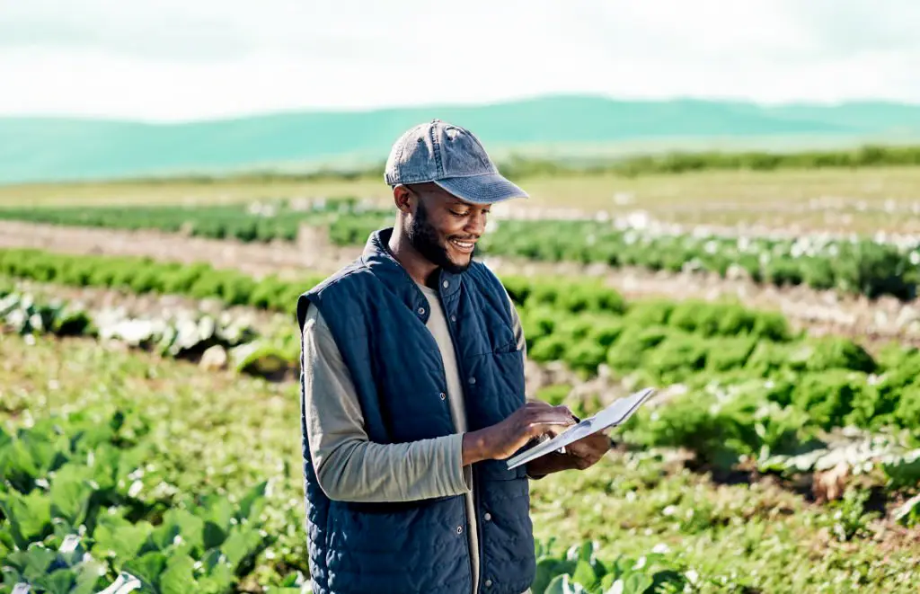 Why agri lending needs digital transformation