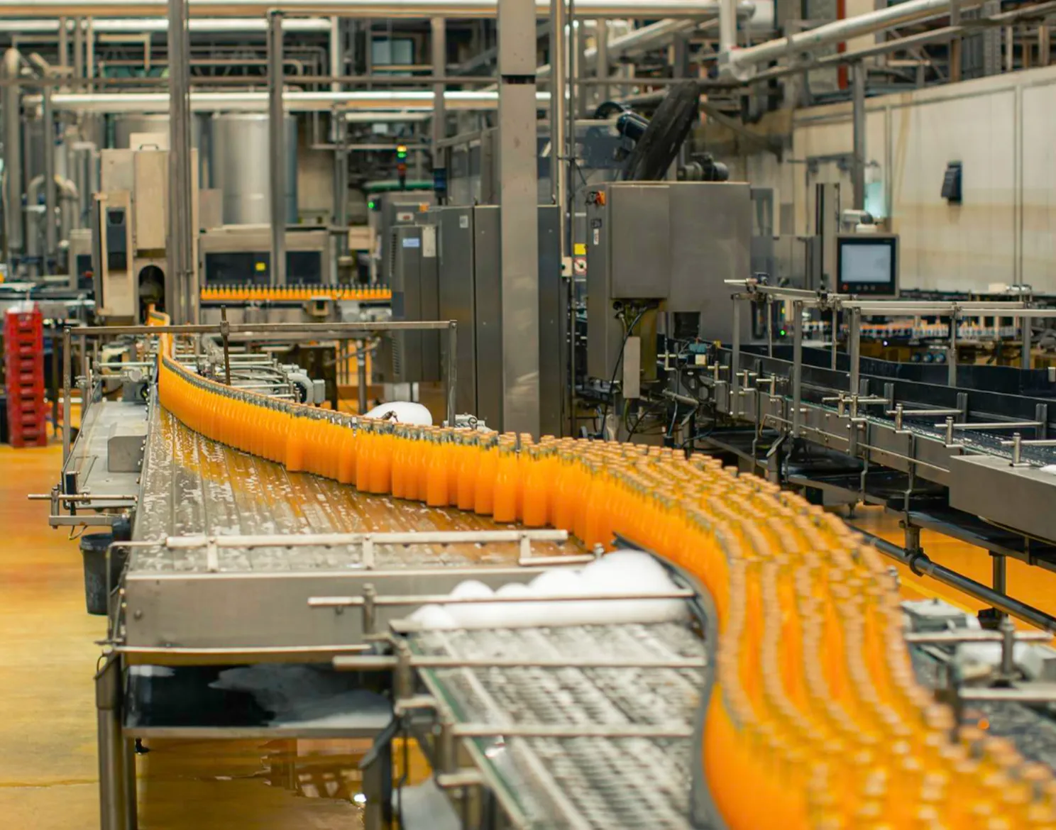 Why food processing needs digital transformation