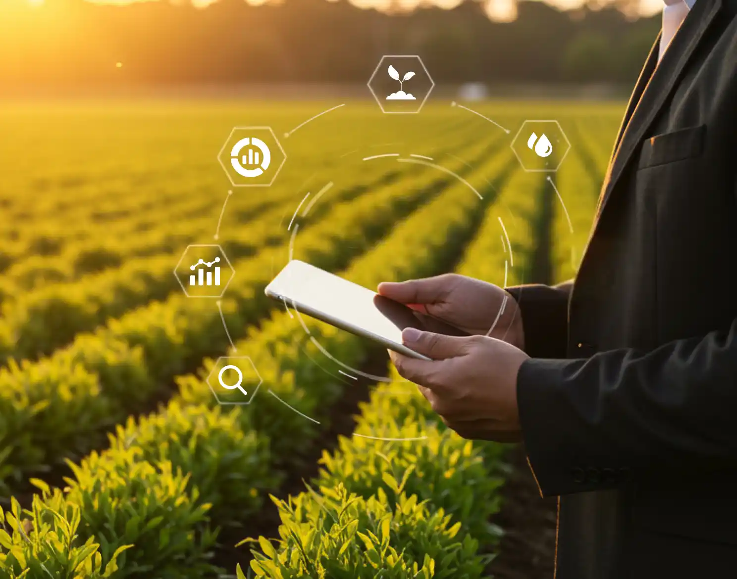 Why global development agencies_Governments need digital transformation