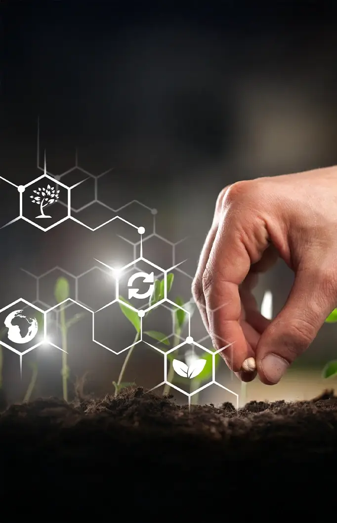 for seed multiplication