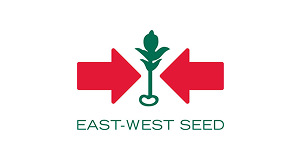 east -west seed