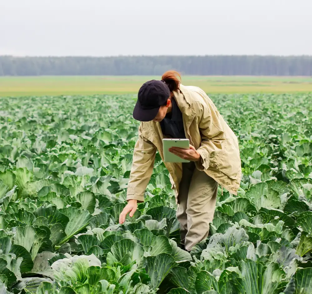 Agri input companies