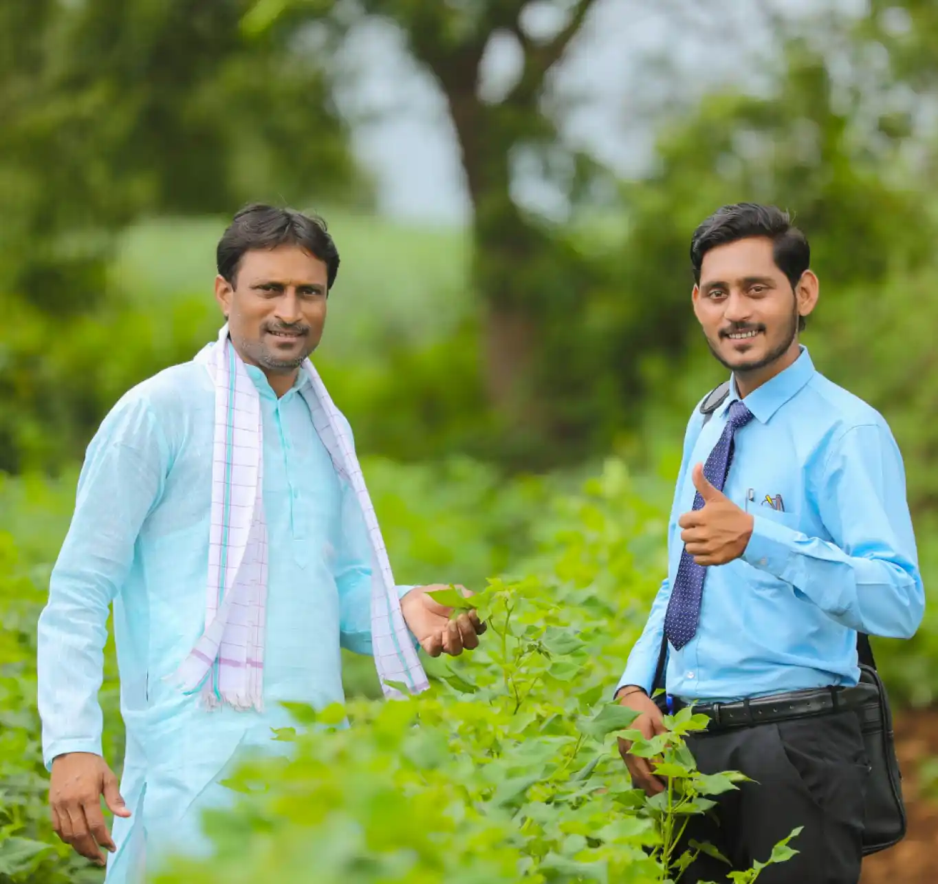 Agri input company