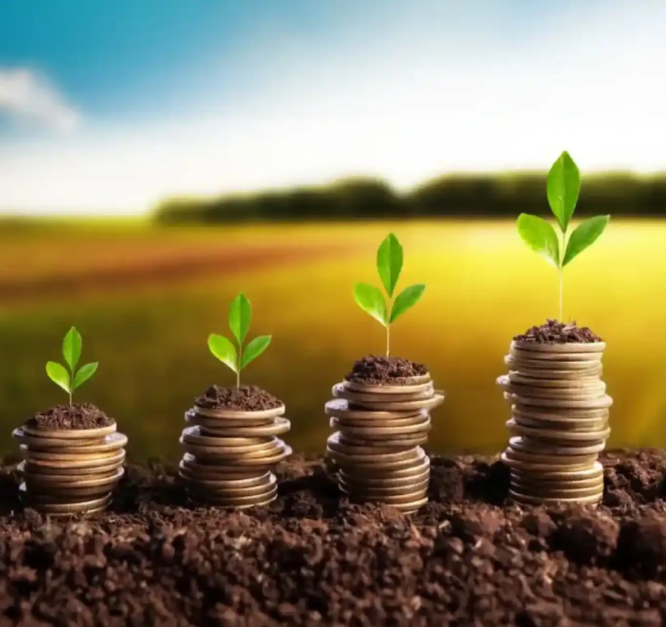Agri insurance