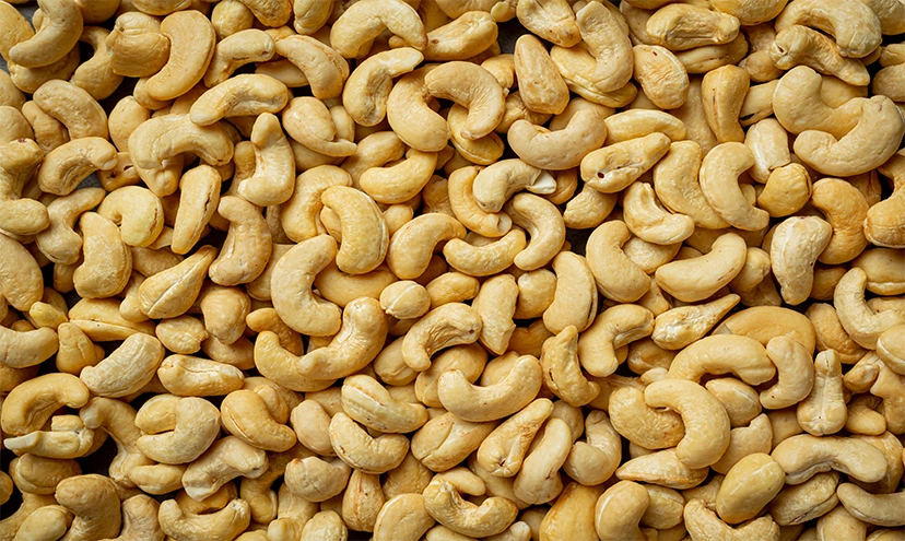 CASHEW major challenges