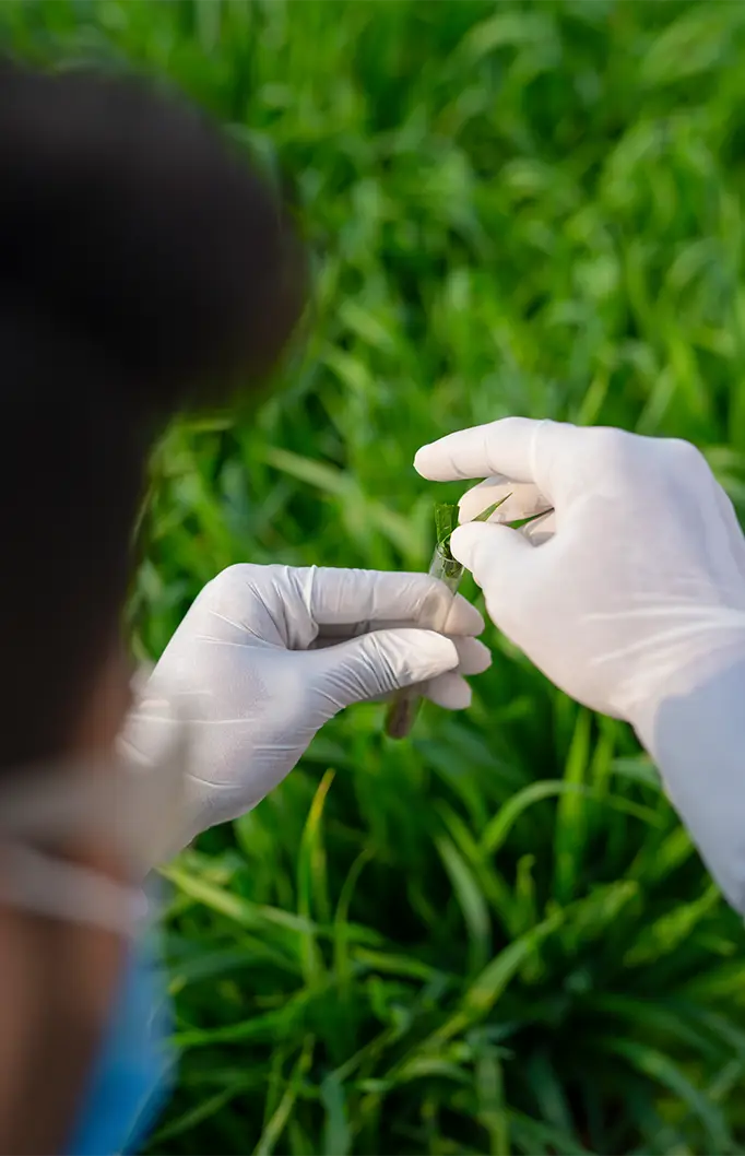 Disease early warning system