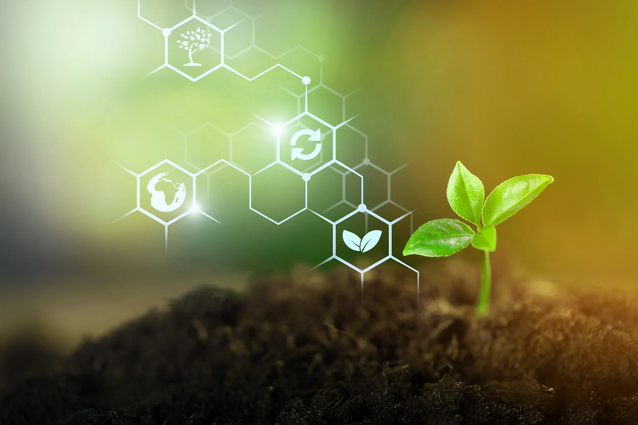 Path to regenerative agriculture